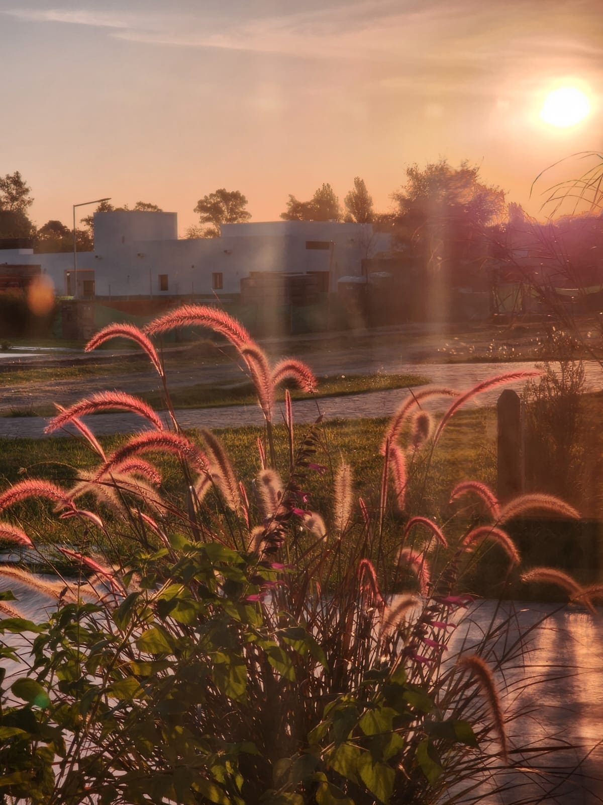 Transformación completa de jardín descuidado a espacio verde moderno