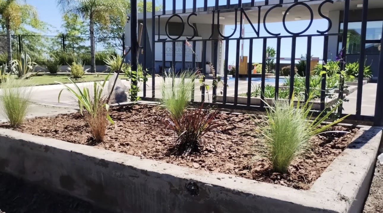 Proyecto de paisajismo integral con vegetación y senderos en Buenos Aires