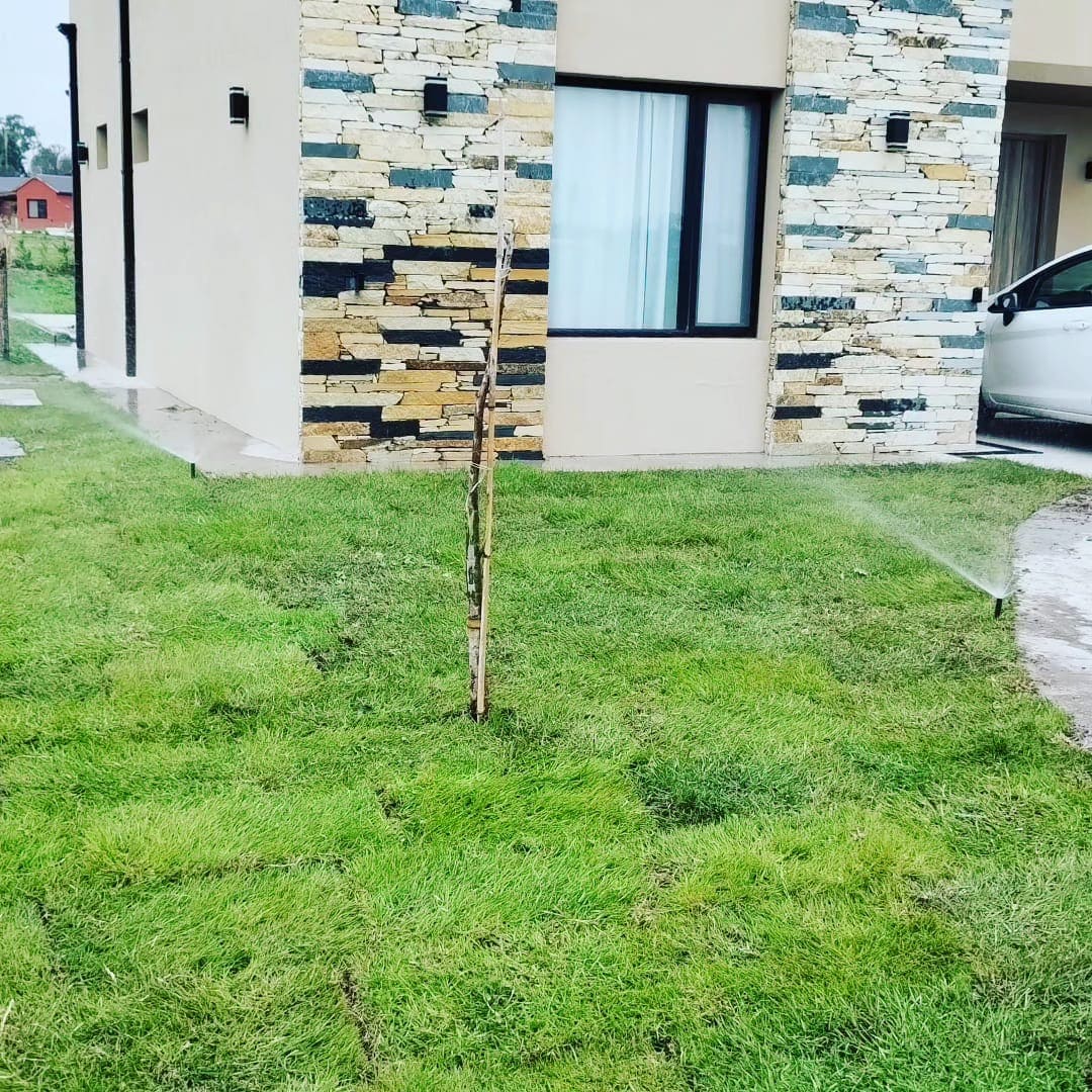 Proyecto de jardín profesional para empresa u oficina en Buenos Aires