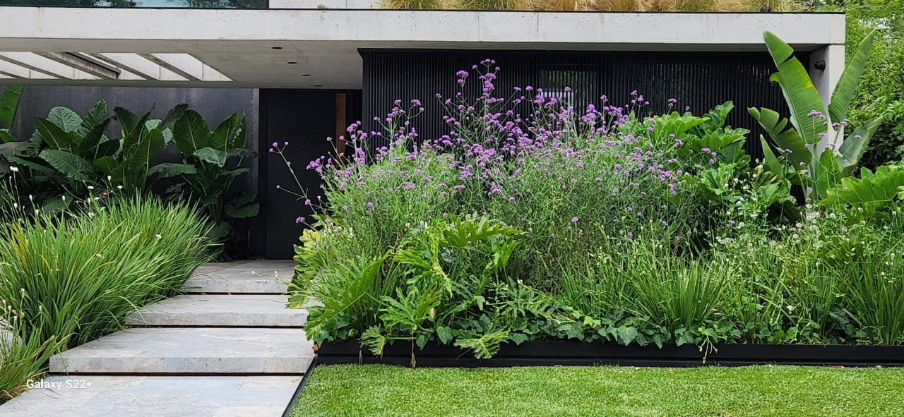 Proyecto de paisajismo residencial en Buenos Aires realizado por simple&verdeok